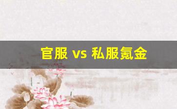 官服 vs 私服氪金对比：官服充 1 万 vs 私服充 1 千，谁更划算？